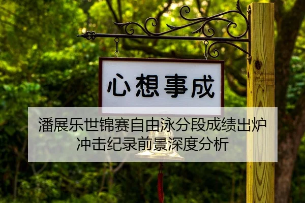 潘展乐世锦赛自由泳分段成绩出炉 冲击纪录前景深度分析